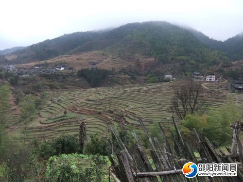 高山下的梯田