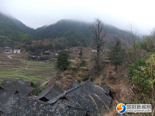 苗寨旁邊，聳立著千年紅豆杉萬(wàn)年銀杏樹(shù)