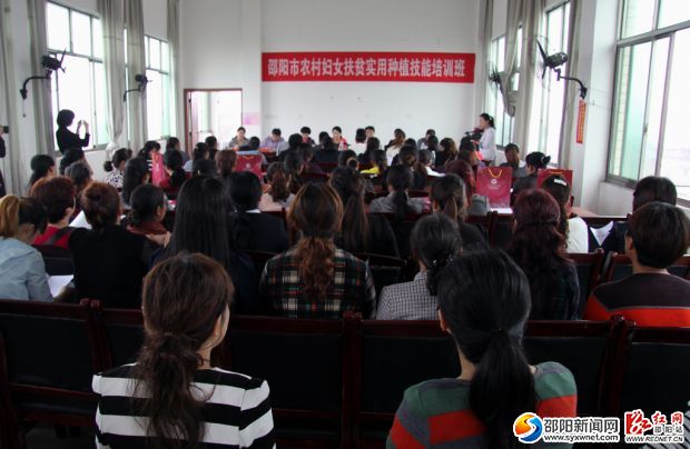 5月23日，百余名婦女精英齊聚渡頭橋鎮(zhèn)，一起學習大棚蔬菜種植技術。