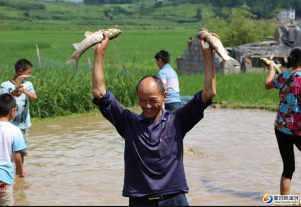 撈魚(yú)