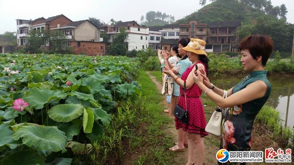 市民觀賞拍照。