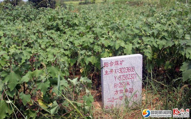 邵東縣流澤鎮(zhèn)陽合煤礦封井界碑。