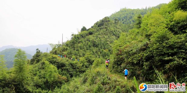 環(huán)湖徒步，親近自然。