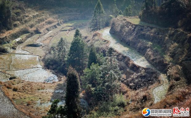 高山里的羅家村