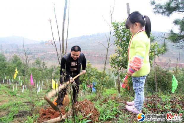 爸爸教女兒怎么種樹(shù)。