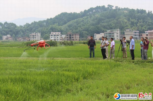 圖為小型無人植保機在隆回高平鎮(zhèn)大江村作業(yè)