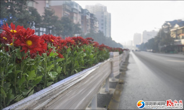 雙擁路花箱式隔離欄