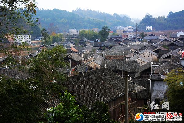 大園村鳥瞰。