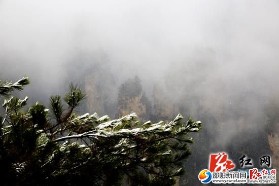 張家界核心景區(qū)武陵源迎今年首場降雪（圖）