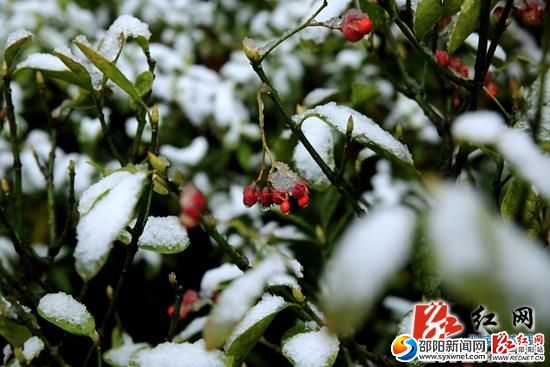 張家界核心景區(qū)武陵源迎今年首場(chǎng)降雪（圖）