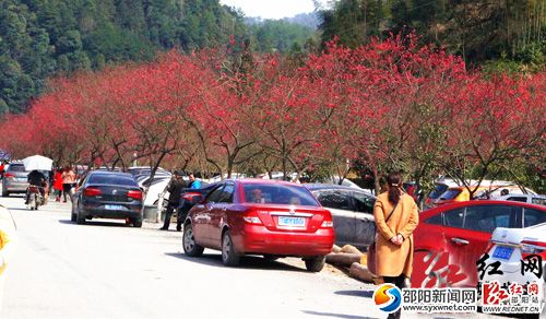 公路旁找不到停車位