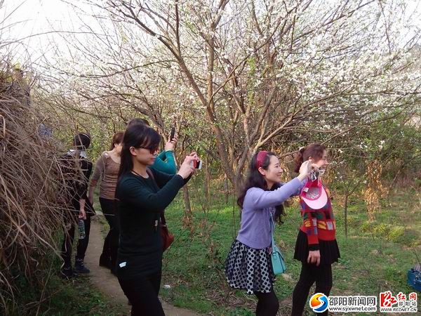 隆回縣桃洪鎮(zhèn)如花似錦 倍受踏青享花游客青睞01