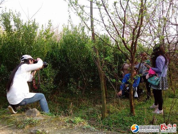 隆回縣桃洪鎮(zhèn)如花似錦 倍受踏青享花游客青睞03