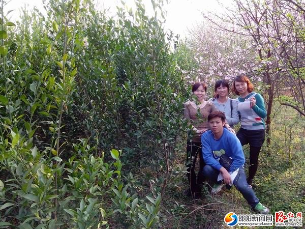 隆回縣桃洪鎮(zhèn)如花似錦 倍受踏青享花游客青睞08