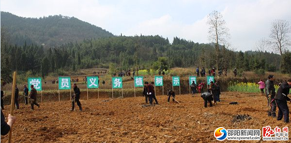 千名黨員義務栽植致富樹