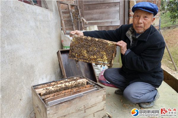 一、4月7日，隆回縣雨山鋪安仁村81歲的范介武大伯，在檢查分蜂后的蜂群發(fā)展情形。 DSC00003