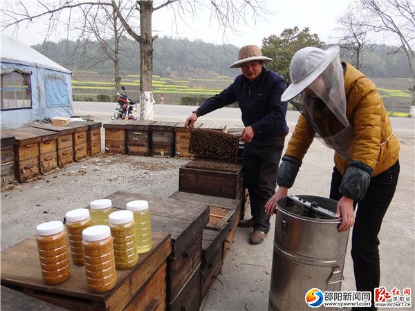 二、今年的油菜花大流蜜期，隆回縣羅家養(yǎng)蜂場小主人羅柏林夫婦，在雨山鋪雨山村流動(dòng)蜂場，搖取蜂蜜。DSC06094