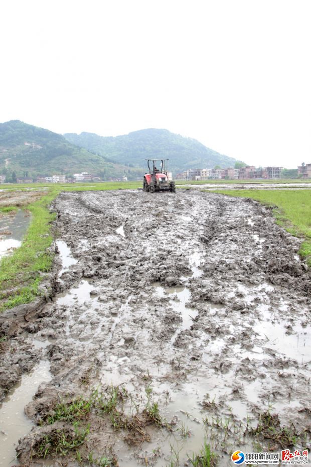 不到五分鐘，犁田機(jī)已經(jīng)翻了一大片地。