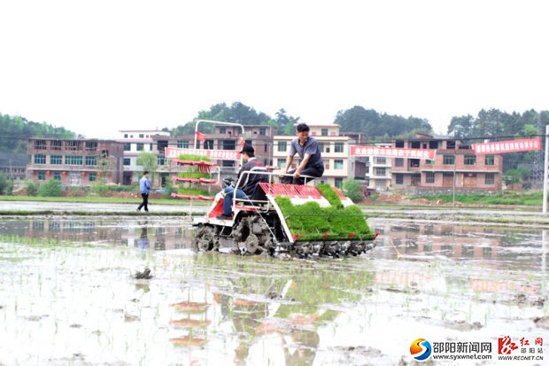 農(nóng)民正在使用插秧機(jī)。