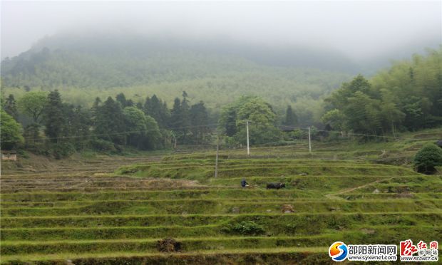 武岡里仁大峽谷上水美如畫CIMG6422