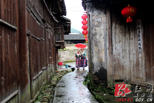 雨巷走來丁香花一樣的姑娘　　(肖丁勤攝)