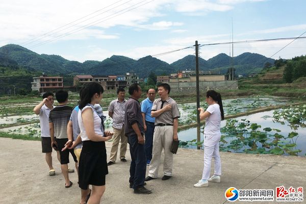 圖為新邵縣商務(wù)局副局長孫海際（中）視察老新村太空蓮基地