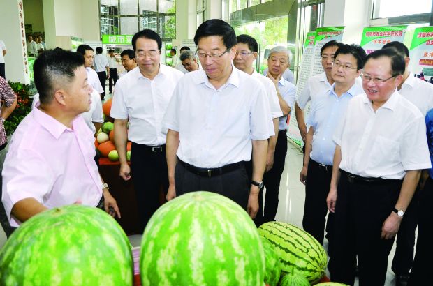 圖為8月3日，省委書記、省人大常委會(huì)主任徐守盛（左三），省委常委、省委秘書長(zhǎng)許又聲（左二）在湖南雪峰種業(yè)有限責(zé)任公司考察。