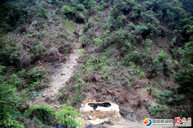 遭無證采伐后的天然闊葉林地滿目瘡痍