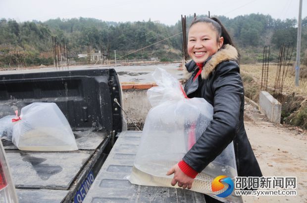 圖為伍換香正在為上門顧客裝真空鮮魚。楊堅攝 (1)