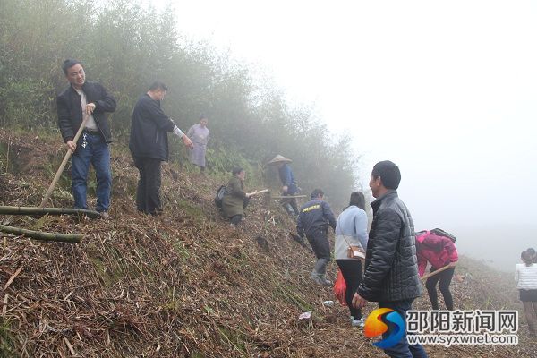 種樹能手交流經(jīng)驗