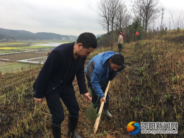 政法委栽植現場