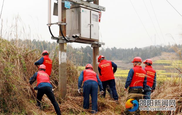 2邵陽縣供電公司農(nóng)電黨員服務(wù)在清理配電變壓器的雜草，確保安全供電。