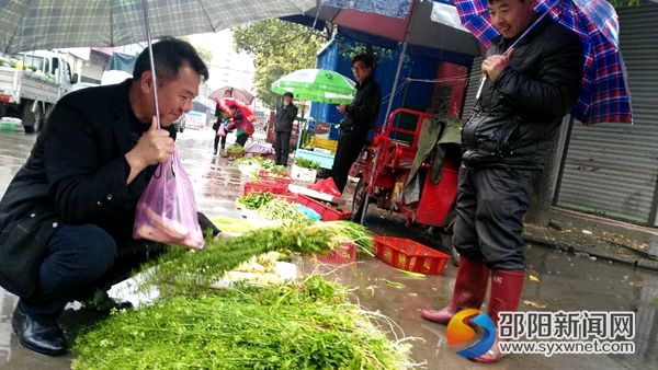 圖為市民在冒雨購買薺菜