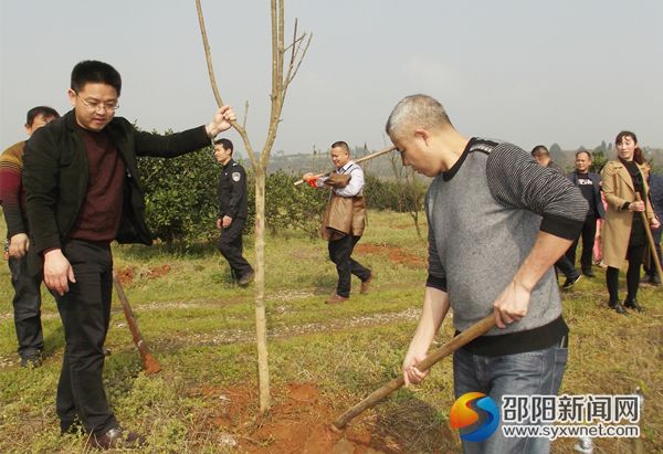 黨員干部正在植樹