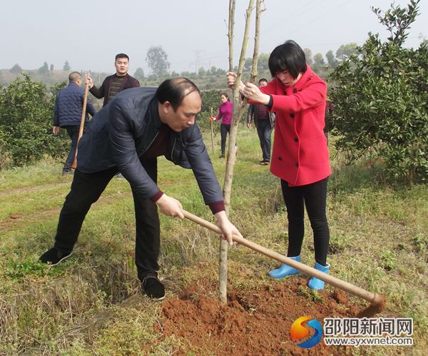 黨員干部正在植樹