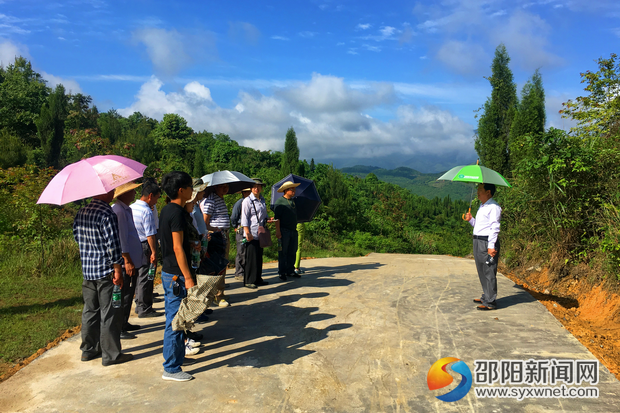 圖為新修的越過隧洞山頂公路