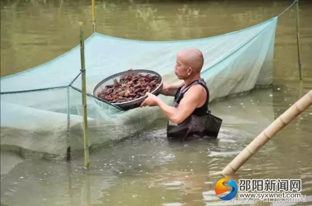 趙余權家門前一口魚塘的老板，同意趙余權到該魚塘用圍網(wǎng)存放暫不銷售的魚類產(chǎn)品。