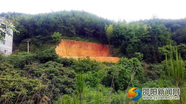 非法占用林地建房