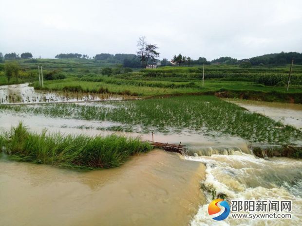 邵陽縣下花橋鎮(zhèn)雙聯(lián)村沿河部分菜地和禾田被沖毀