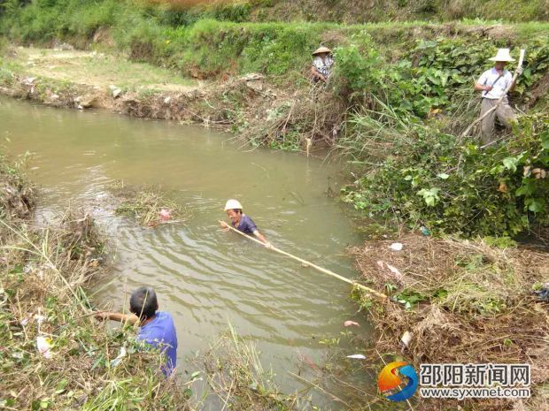 老黨員身先士卒清理河道垃圾