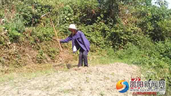 新邵縣坪上鎮(zhèn)獨(dú)臂老人”謝建益在烈日下挖土勞作