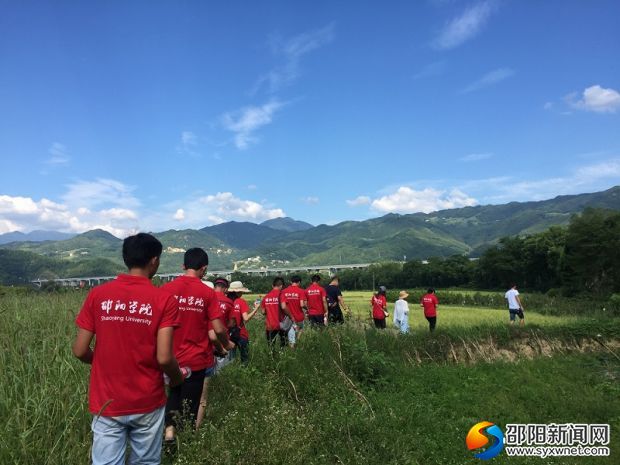 志愿者穿过田野，前往下一个目的地开展实地考察