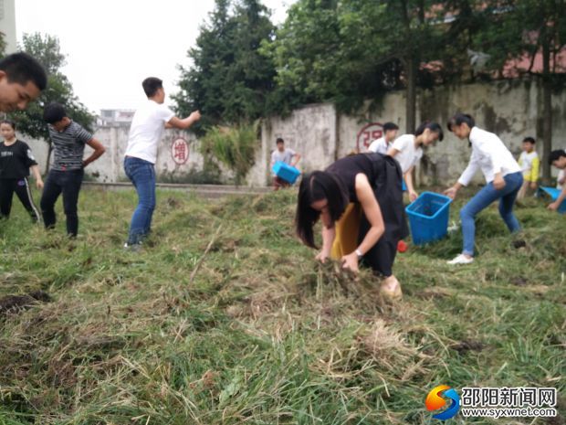 洞口县山门中学师生齐拔草