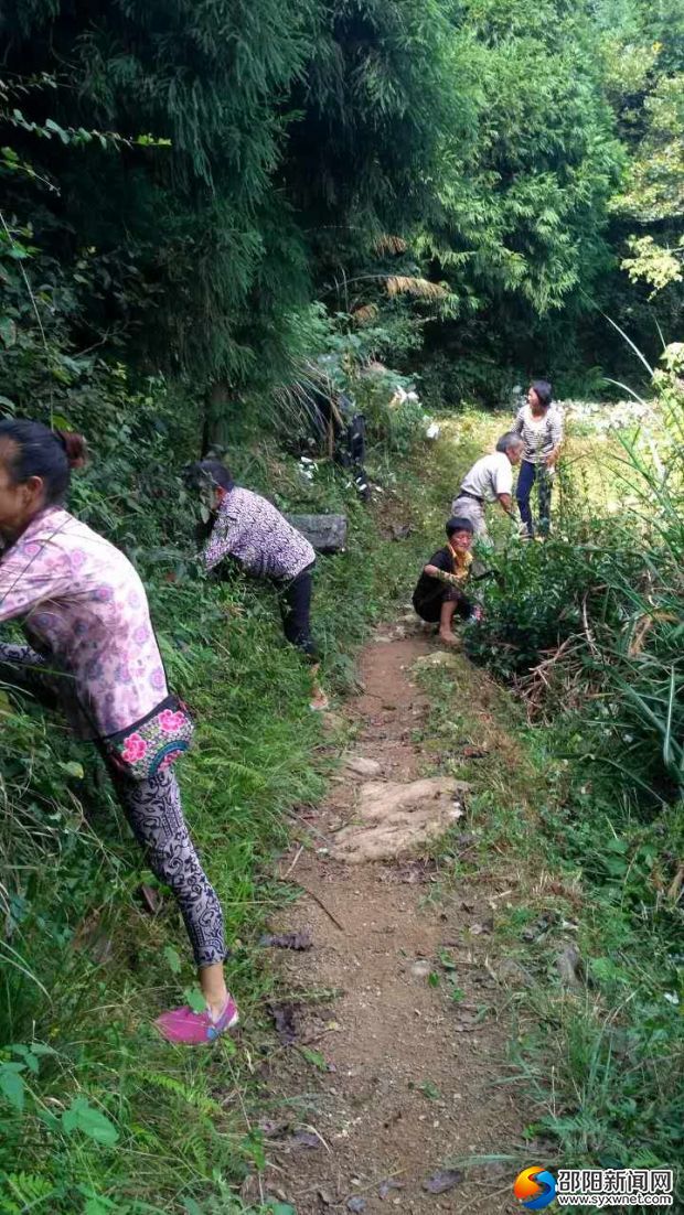 潭甘村黨員組長(zhǎng)群眾上山清除“行路難”