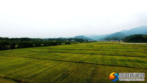 DJI_0115_副本