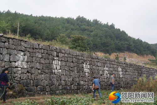 參觀野雞坪梯田