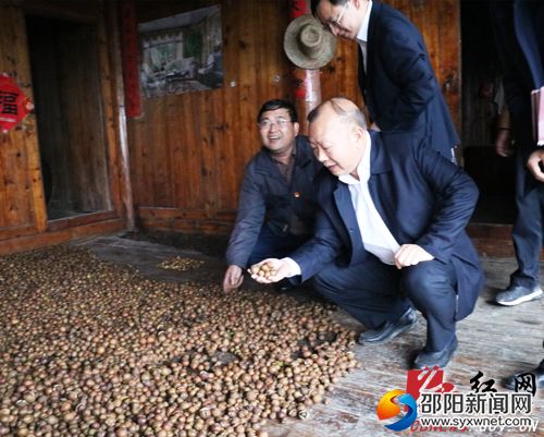 羅建南在貧困戶家察看了新收的茶籽