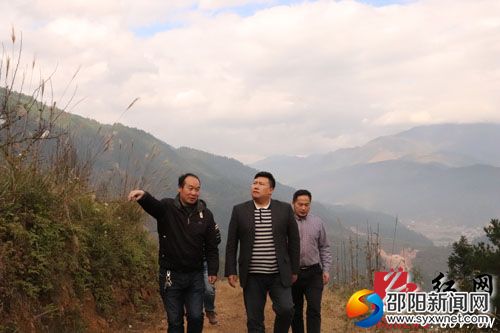 縣委常委、副縣長方凱實(shí)地考察苗香梨種植基地