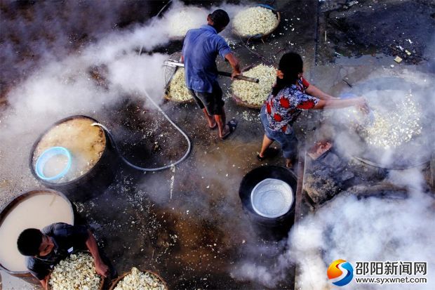 龍牙百加工實(shí)景