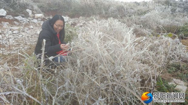 圖為志愿者摘冰棍解渴